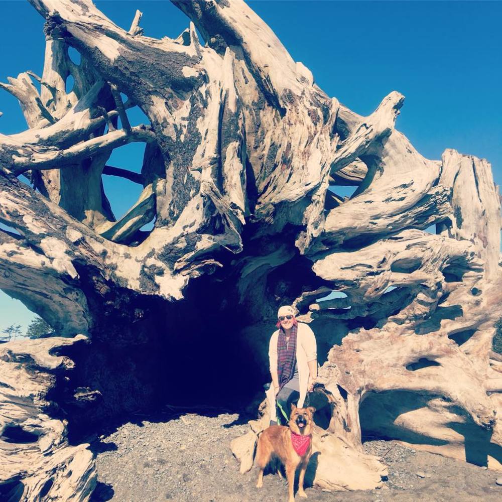 Meet your Posher, Allie